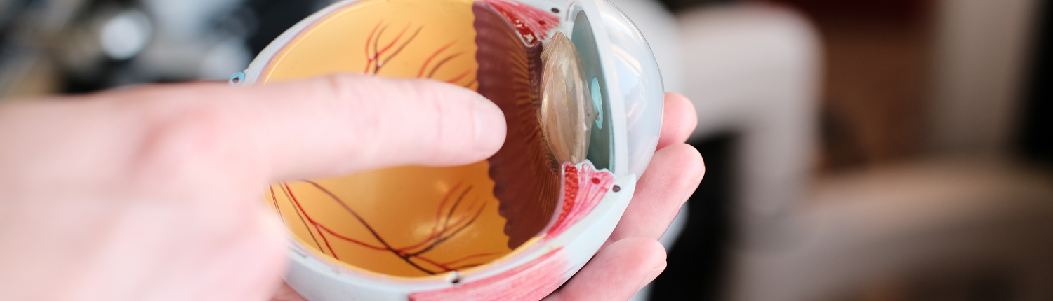Surgical Retina eye care faqs