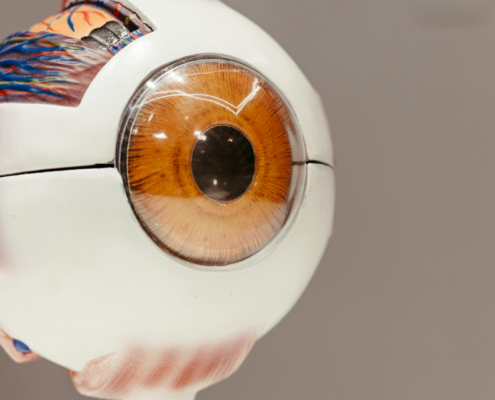Eye Shield