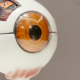 Eye Shield